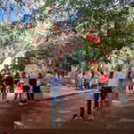 Diễm Vy Vy profile icon