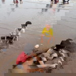 Ade Heti profile icon