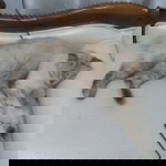 nursyahirah bahrin profile icon