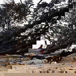 Aisyah Hipni profile icon