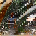 Ying Parn profile icon