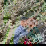 Nurameera Haron profile icon