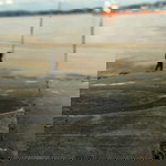 Shaa Naam profile icon