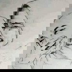 Nik Azam profile icon
