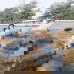 บีมมี่ ณัฏฐณิชา แสงอรุณ profile icon