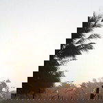 Angsana Kiatteerachotikun profile icon