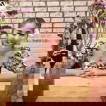 Tangmo Lalitpat profile icon