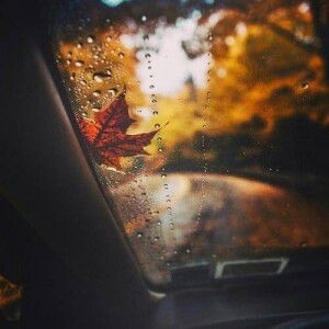 Muji Misasihe SR profile icon