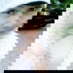 Putri Kartika Sari profile icon