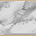 Fuertes April Eunice profile icon