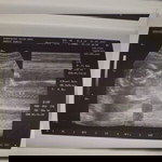 Mae Anne Donato profile icon