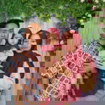 ANisa Fatihatun Rizqii profile icon