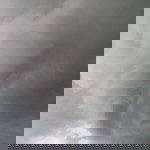 Chomphu Net profile icon