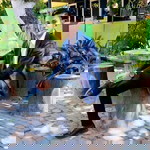 Muhamad Salimi profile icon