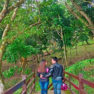 Janine Pascual profile icon