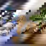 'บัง มิต' profile icon