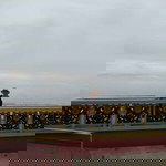 Greze Euraoba-Casio profile icon