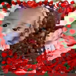 Evelyn Sanchez Marquez profile icon