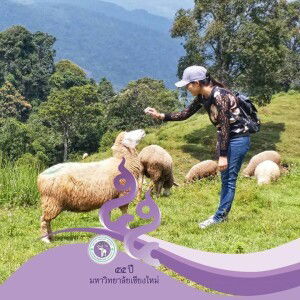 Pompam Kanokporn profile icon