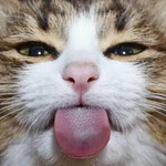 ตัว' เล็ก'ก profile icon
