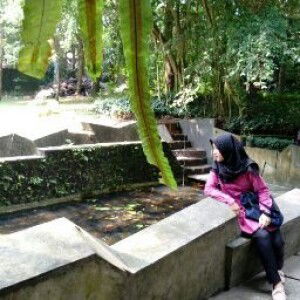 Anis Rokhimatul Laela profile icon