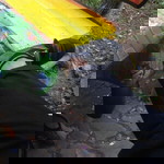 Adap Ter profile icon