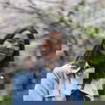 montarop singtokasem profile icon