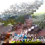 เสาวลักษณ์ สำแดง profile icon