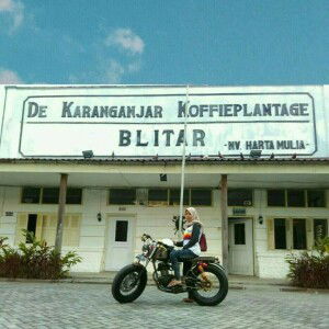 Fitri Farida profile icon