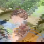 พิ๊แพนเค้ก กะ น้องพลอยหยก profile icon