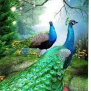 Amanda Yanti profile icon