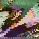 Hannah Jhane profile icon