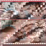 Rhoo Bee profile icon