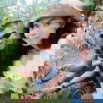 Tidtee Kamonchanok profile icon