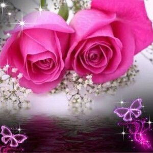 Bayyinah Shodiqah profile icon