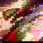 Adriana Reindio profile icon