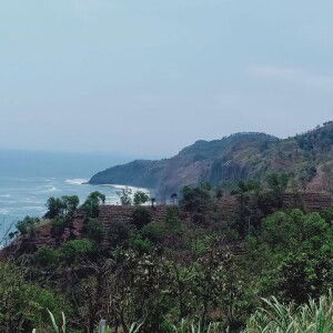 Nisa Asmojati profile icon