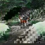 VIPIN AYILAM profile icon