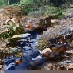 Nurafifa Dw profile icon