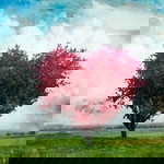 Candra Vanya Sdc profile icon