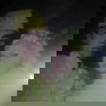 Marlina Putri profile icon