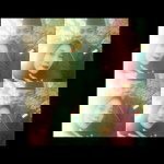 Any Kasuara profile icon