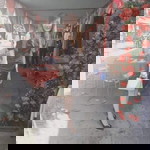 Trang Bích Liễu profile icon