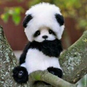 Ara Maron Espinoza profile icon