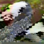 Ara Maron Espinoza profile icon