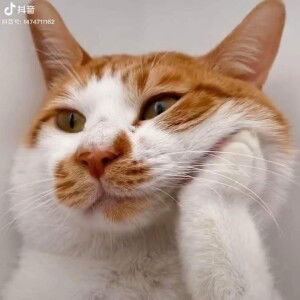 Frichiliao profile icon