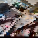 Apple Su Cuevas profile icon