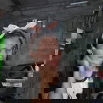 Rica Laura profile icon