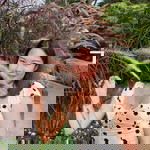 Giftchur profile icon