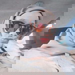 Haliza Rosli profile icon